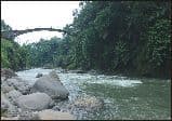 lolong