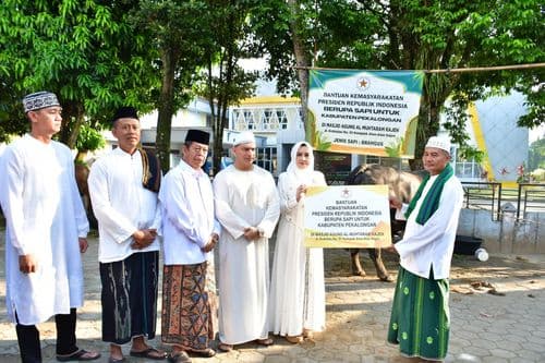 images/2025/berita/06/WhatsApp_Image_2025-06-06_at_182216