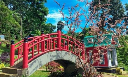 images/wisata/Wisata-Linggo-Asri