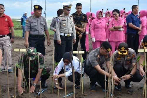 images/2020/berita/01/mangrove